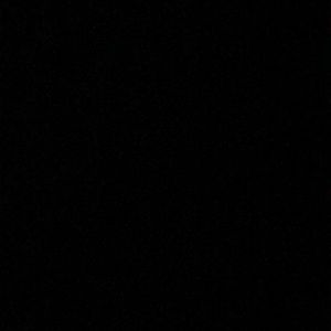 Meet your Posher, Brady